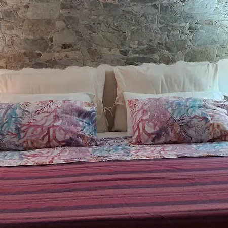 Tenuta Di Vado Piano Nella Selva Di Circe 4*